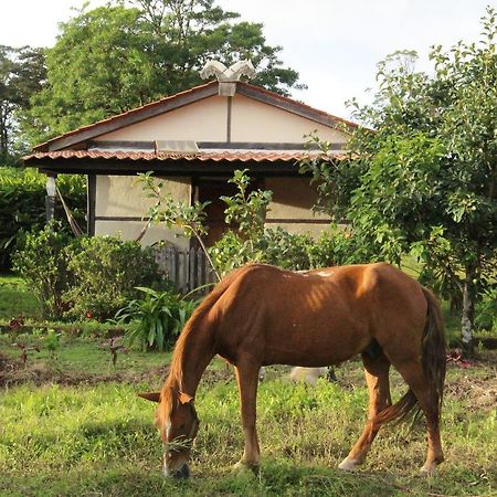 Finca Lindos Ojos Estelí Eksteriør bilde