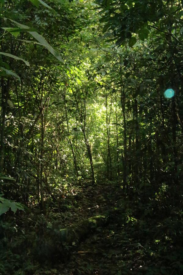 Finca Lindos Ojos Estelí Eksteriør bilde